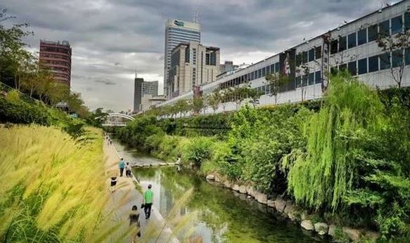 ff206e2a287bee20b2484104ad13decb_1530672483_794.jpg ff206e2a287bee20b2484104ad13decb_1530672483_794.jpg