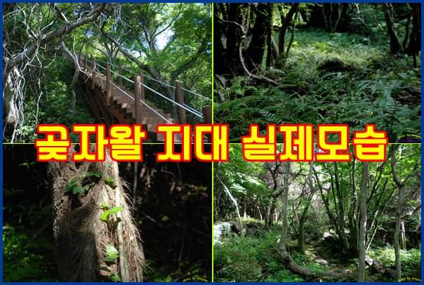 428c60c4075aa4c2860063b5e4453e23_1571119336_391.png 428c60c4075aa4c2860063b5e4453e23_1571119336_391.png